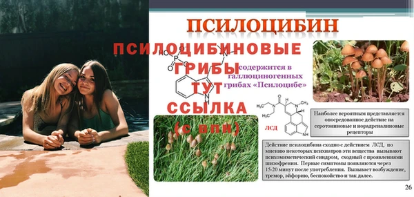 тгк Абинск