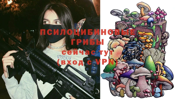 гашик Абаза