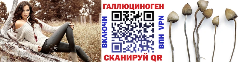 Галлюциногенные грибы Psilocybine cubensis  Сысерть 